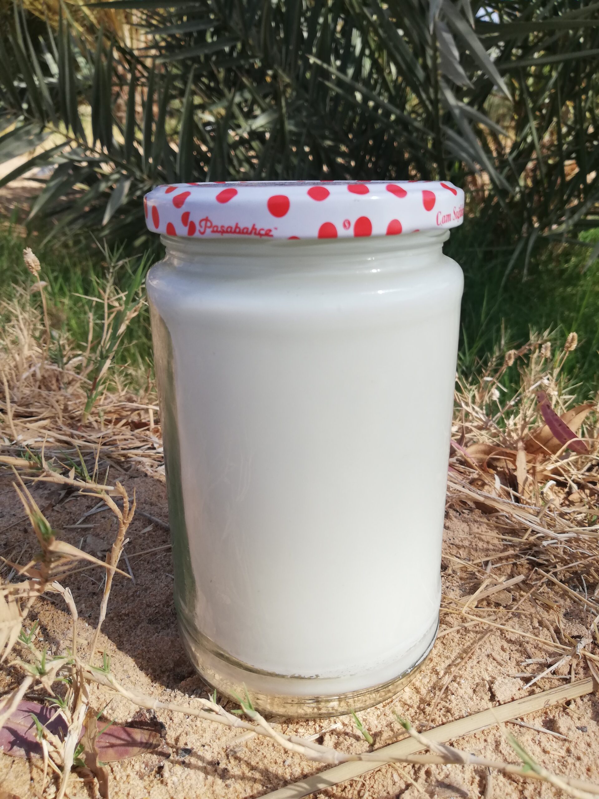 a jar of tallow in the garden