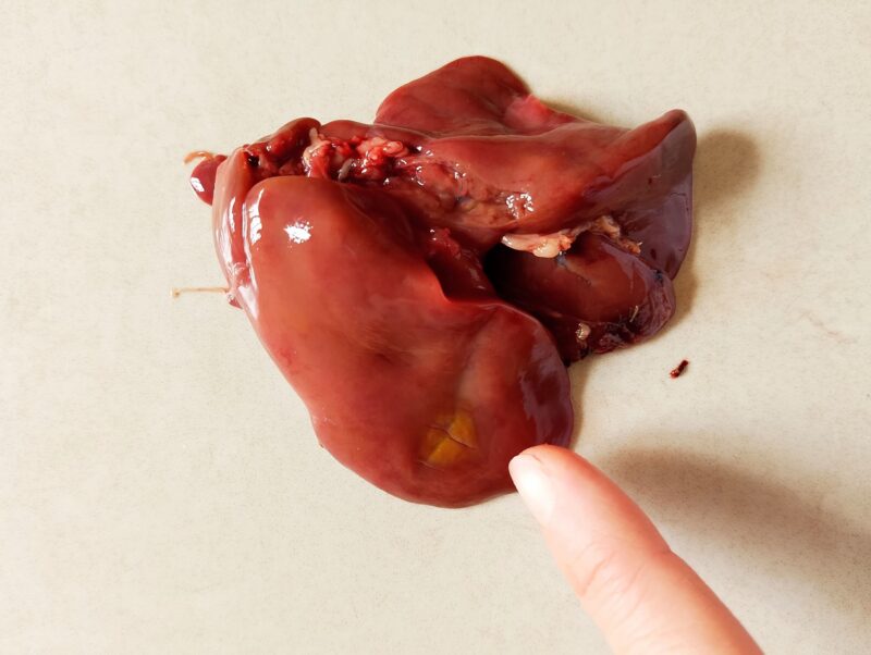 Removing discolored spot from a chicken liver