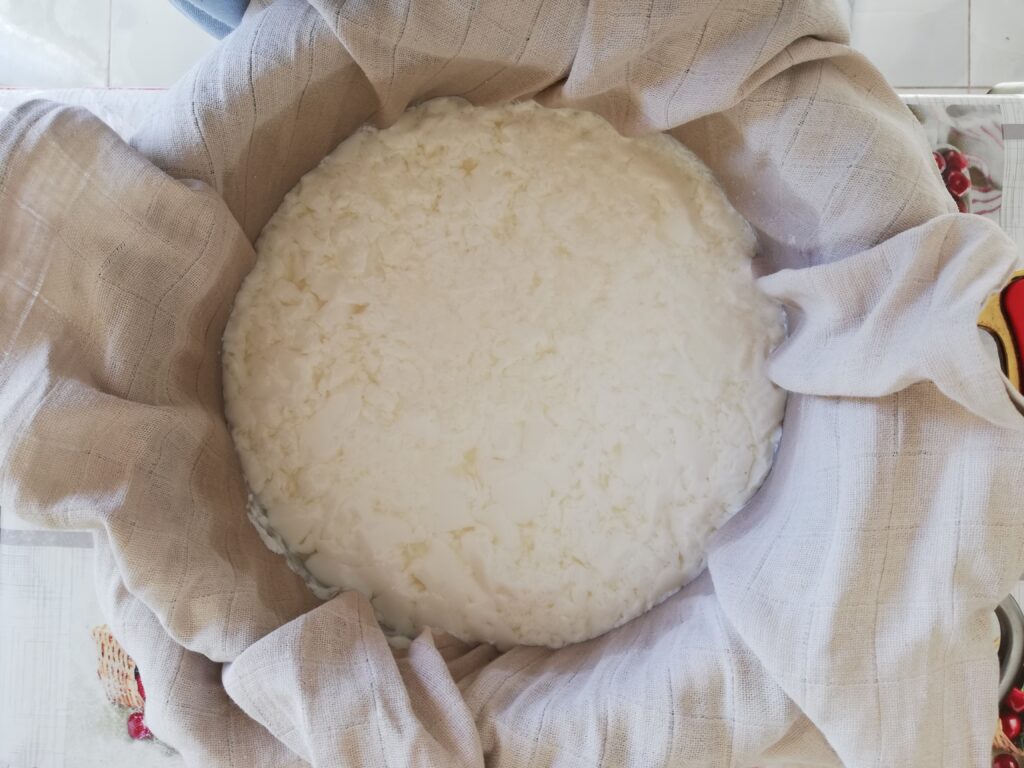 homemade raw milk cottage cheese draining on a colander lined with cheesecloth