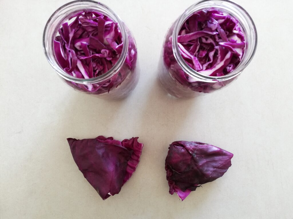 two glass jar packed with shredded red cabbage and two folded red cabbage leaves