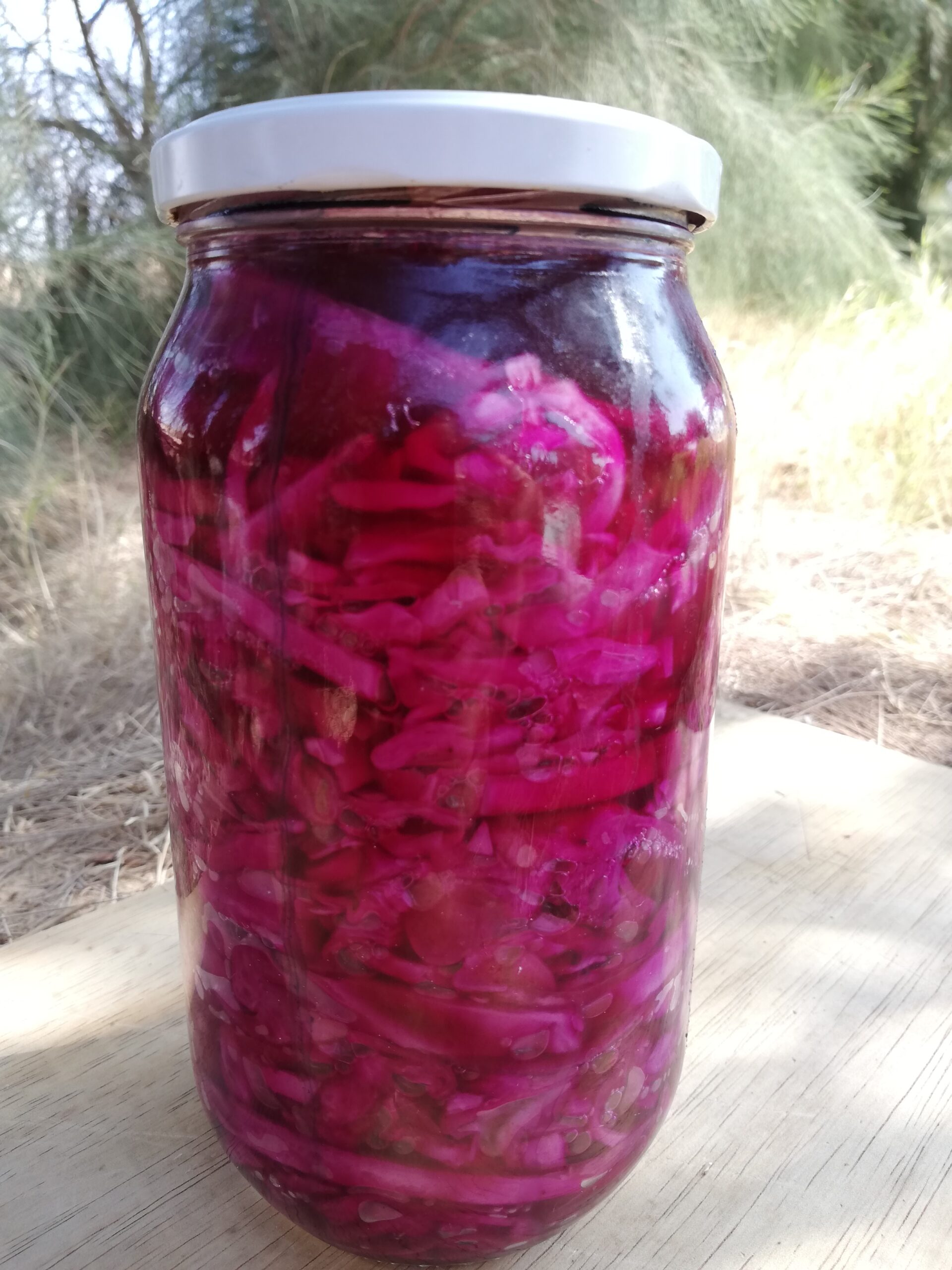 a jar of red cabbage sauerkraut with orange and cloves standing on a wooden board with some trees in the background