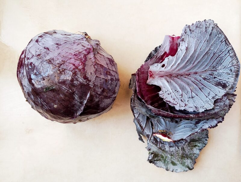Removing tough outer leaves from a head of red cabbage