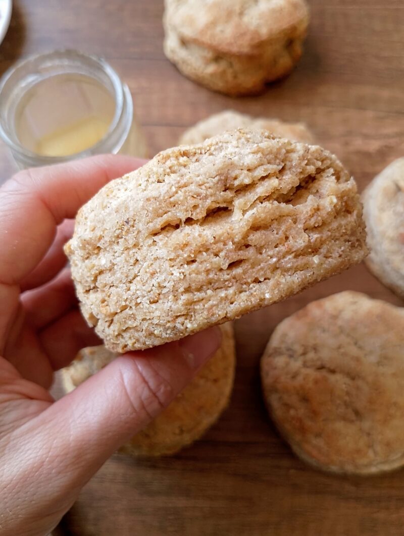 Womans hand holding a freshly baked sourdough biscuit