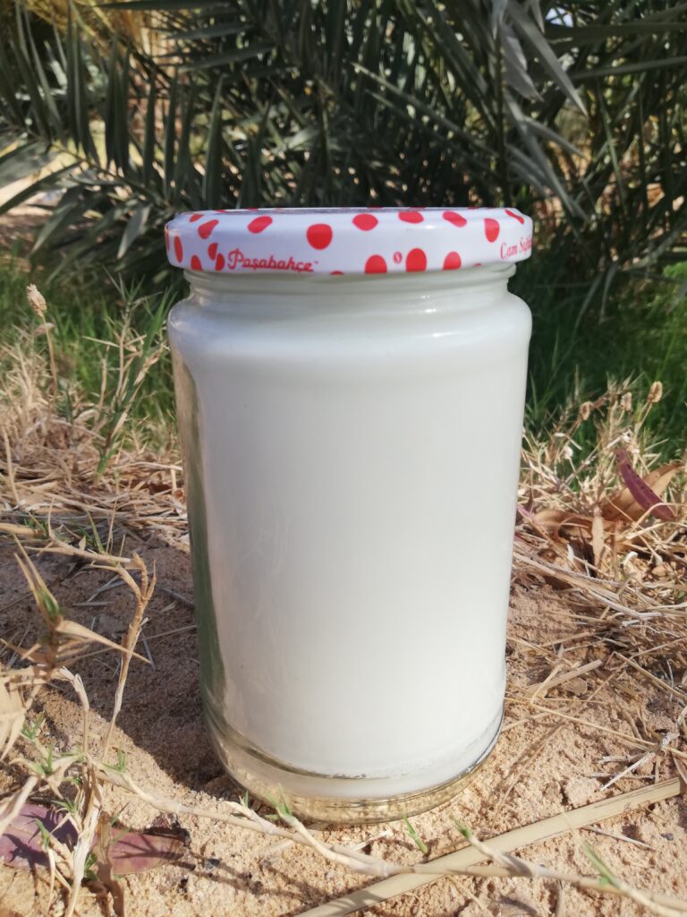 a jar of tallow standing on the ground in the garden with a palm tree in the background