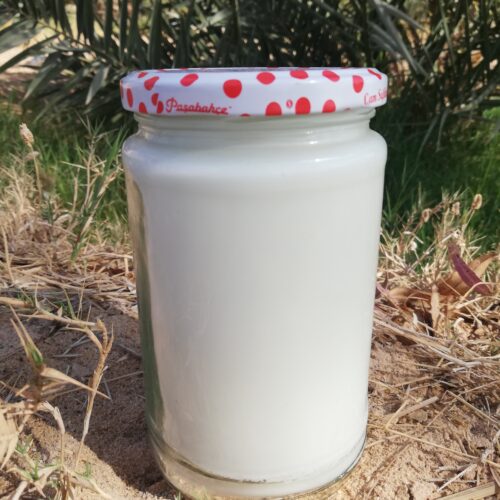 a jar of tallow on the ground with a palm tree in the background