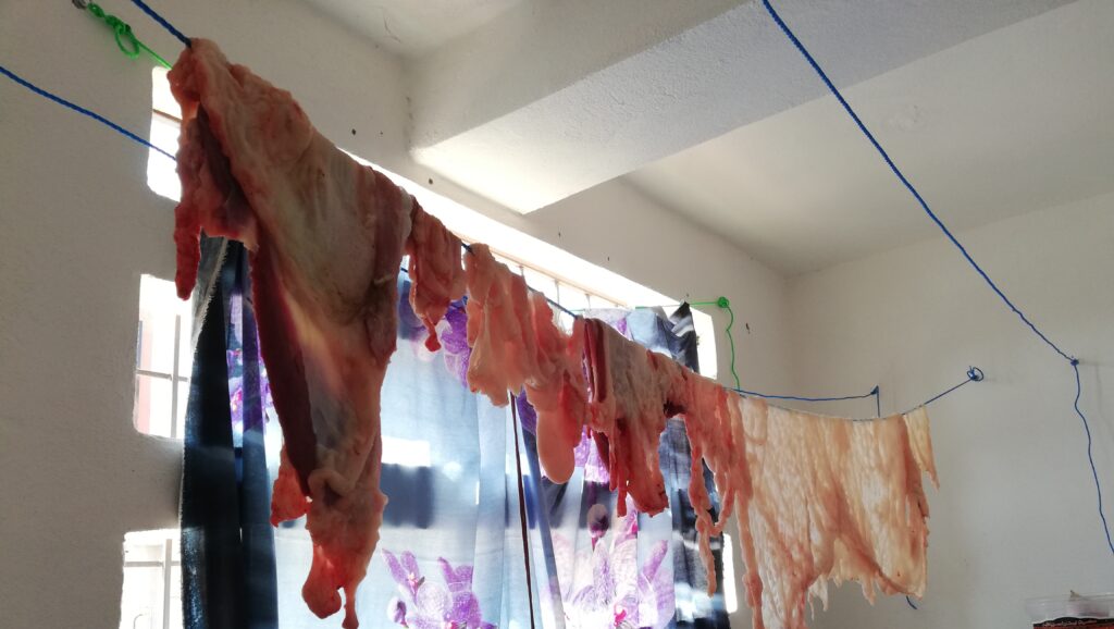 sheets of lamb fat drying on the line