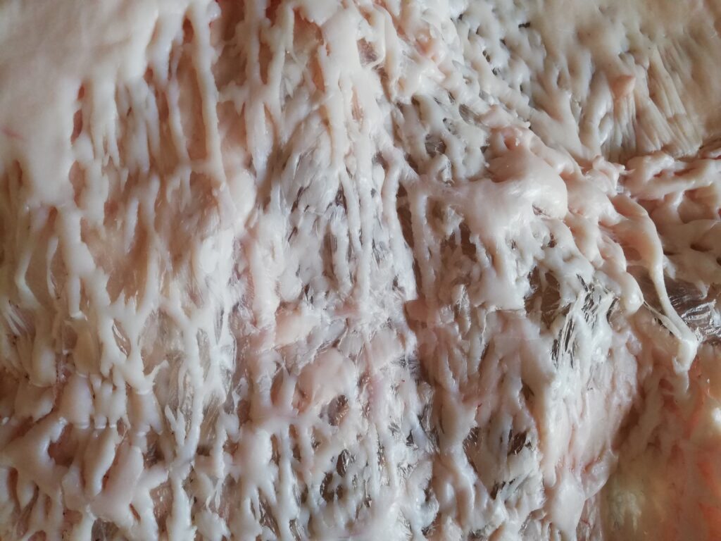 sheet of lamb fat
