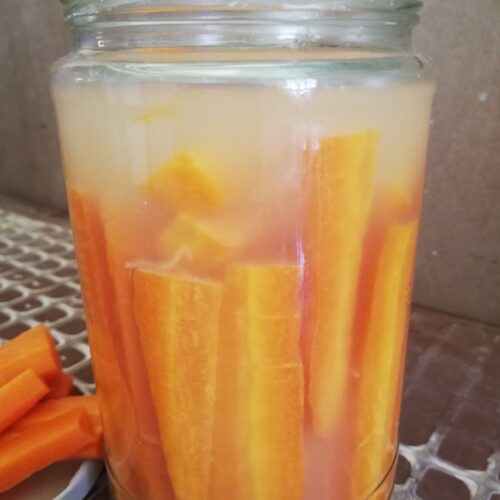 a jar of lacto fermented carrots with ginger with some fermented carrots sticks on the side
