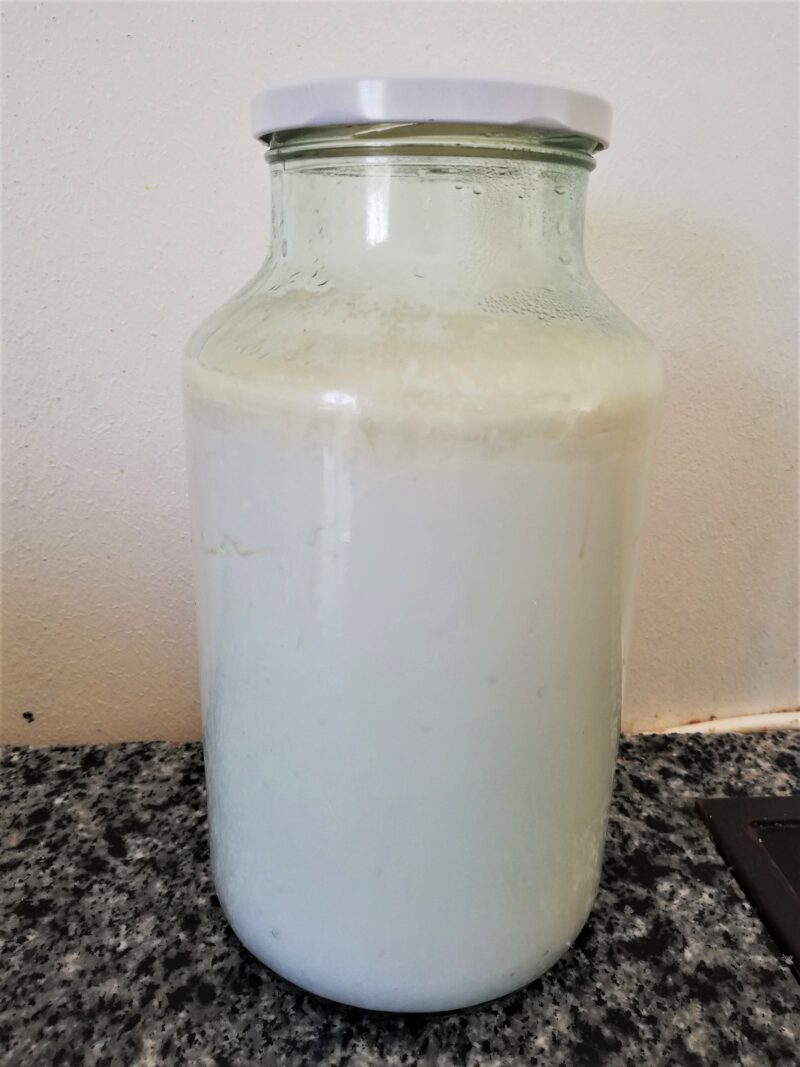 Setting fresh raw milk to sour on counter
