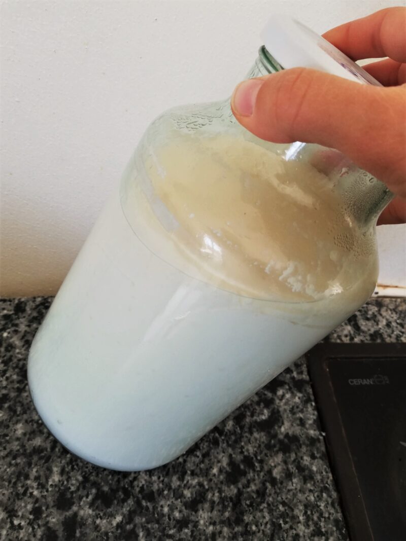 Soured raw milk, ready to be turned into cottage cheese