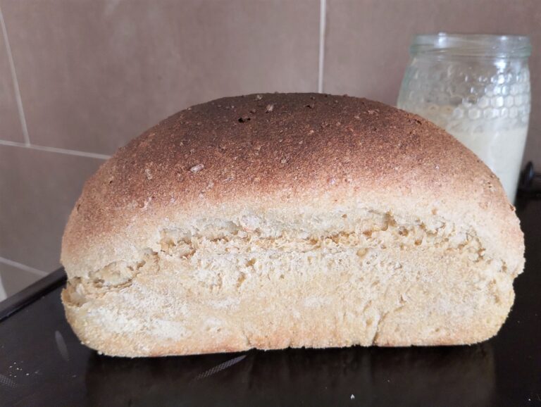 Same day whole wheat sourdough sandwich bread cooling on the stove