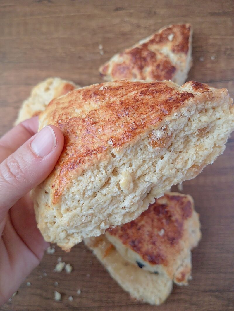 Hand holding a sourdough discard scone