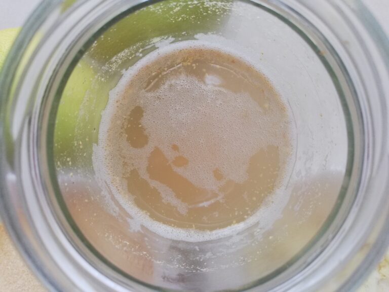 a jar with ginger bug starter seen from above