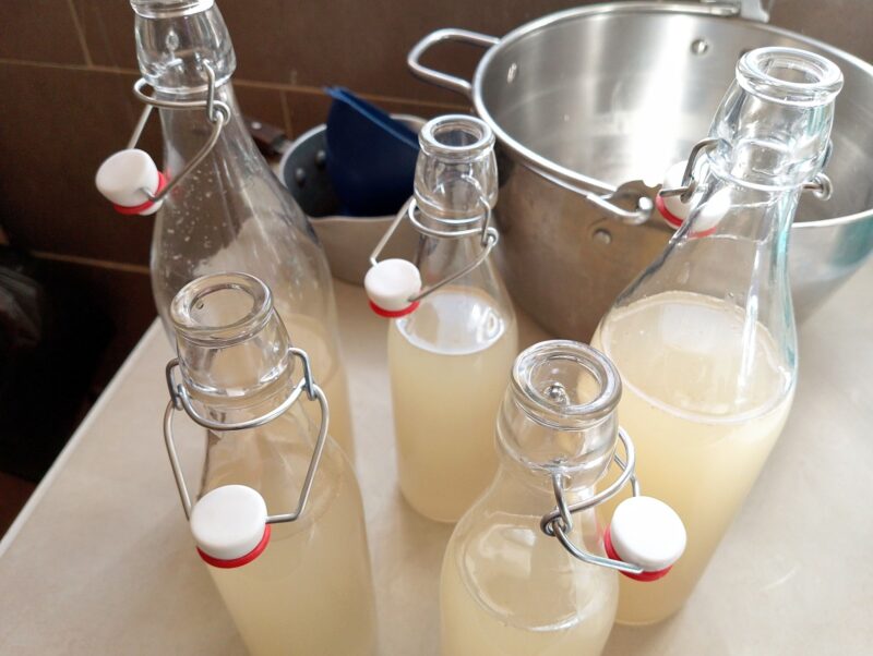 Bottling ginger bug soda in swing top bottles