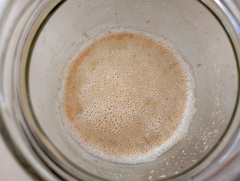 Bubbly ginger bug starter, ready for use in making soda