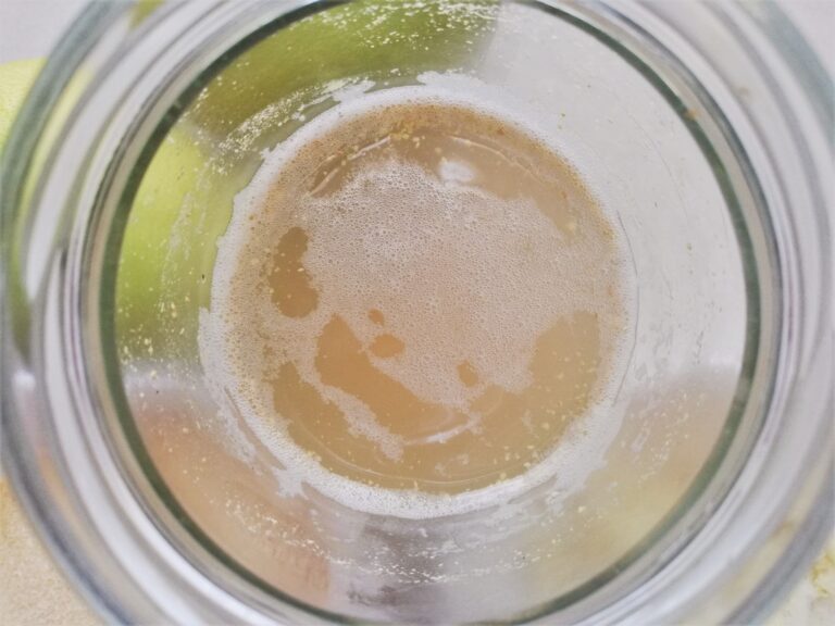 How to make a ginger bug: fizzy ginger bug starter in jar