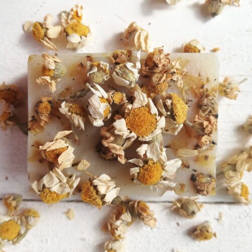 A bar of chamomile soap with chamomile flowers on top and around it