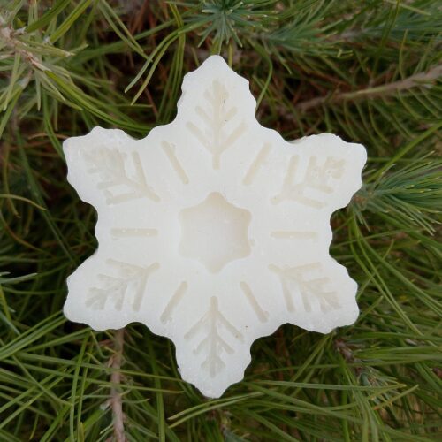 Cold press coconut oil bar on background of pine tree