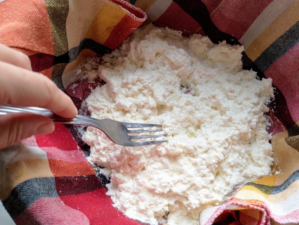 Mixing salt into the curds with a fork