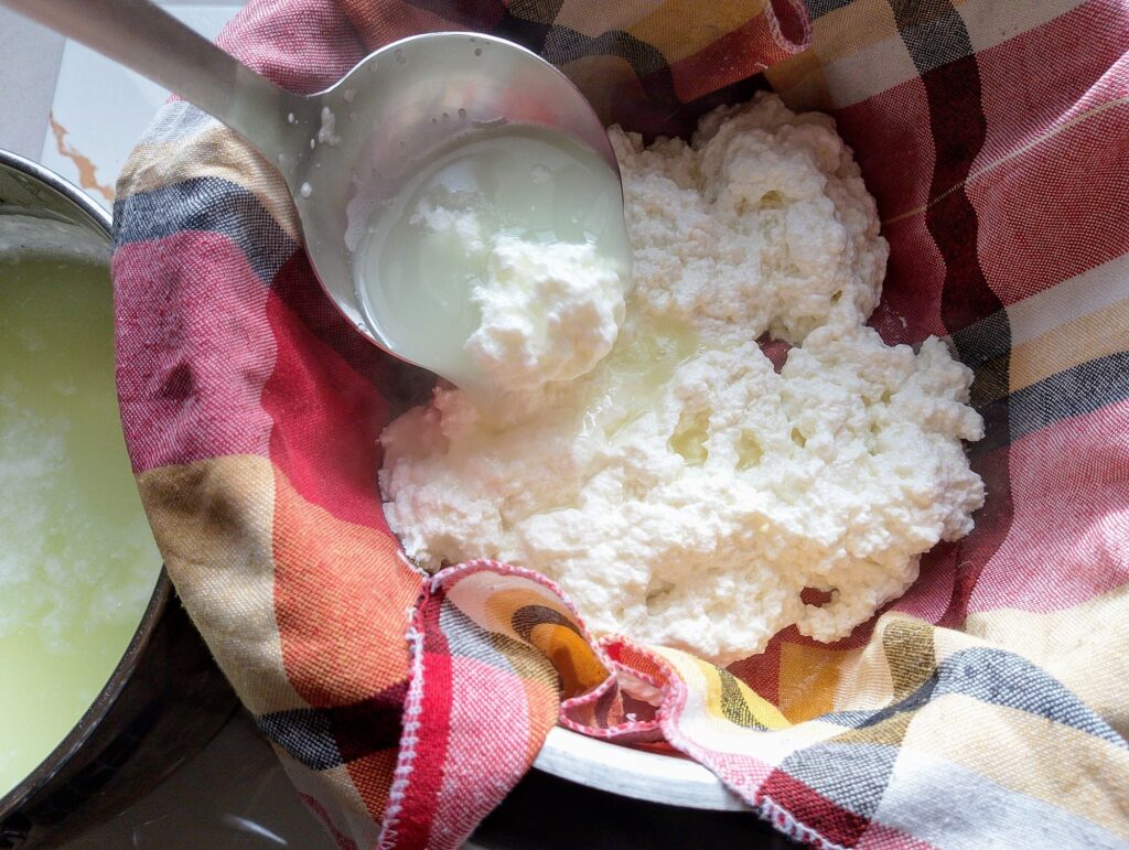 Transferring the queso fresco curds into a colander lined with a cheesecloth