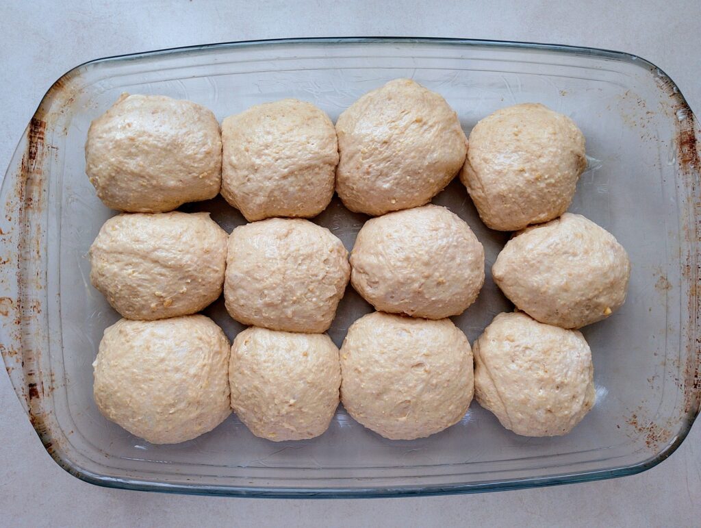 Sourdough rolls dough divided into rolls in a pan, ready to rise for the second time