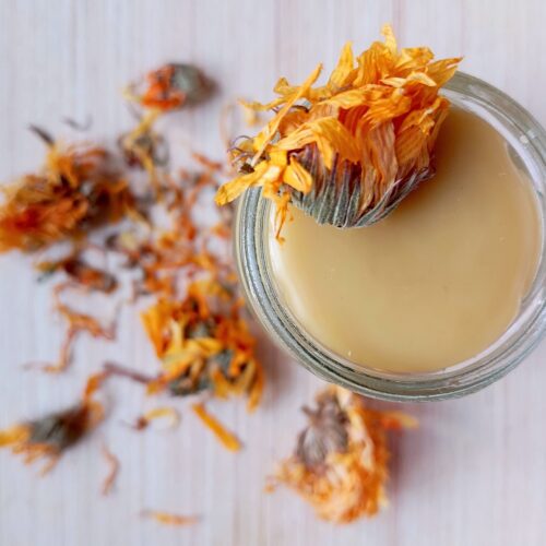 Calendula hand balm with beeswax in a glass jar with some dried calendula flowers scattered around