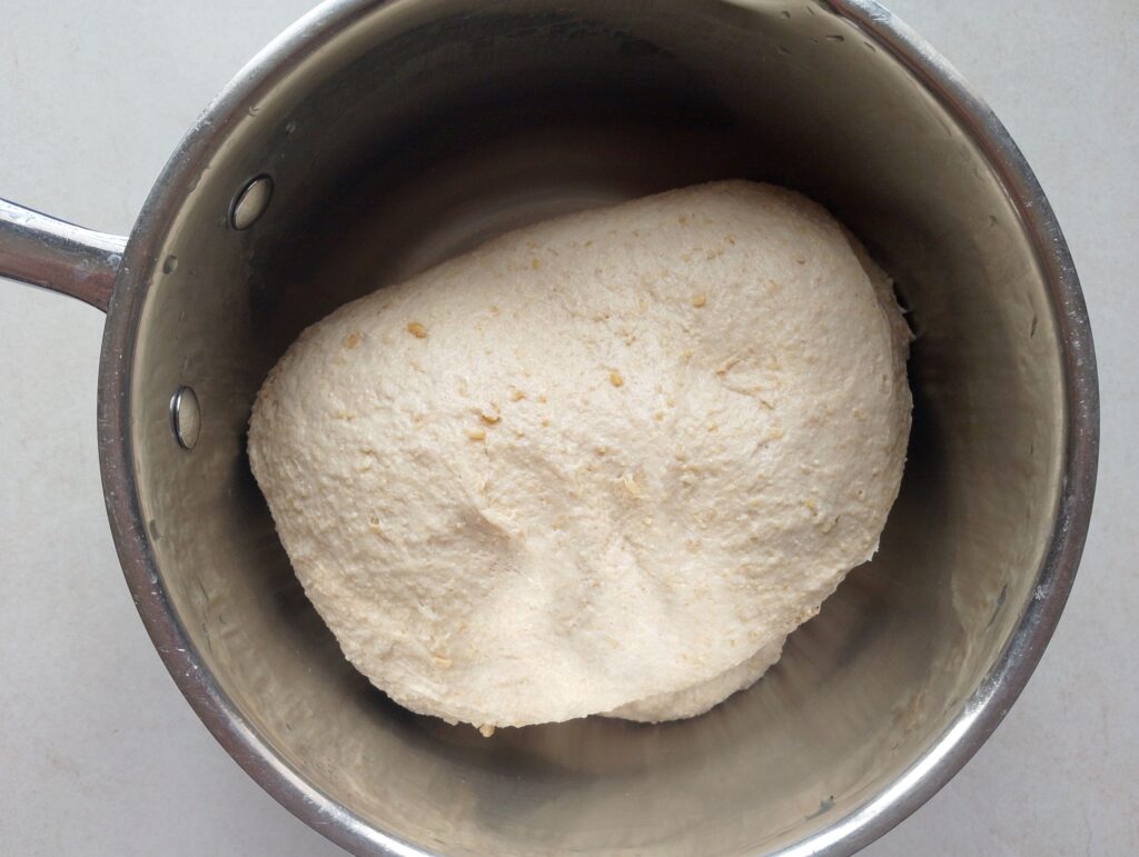 Bulk fermenting the dough in an oiled bowl