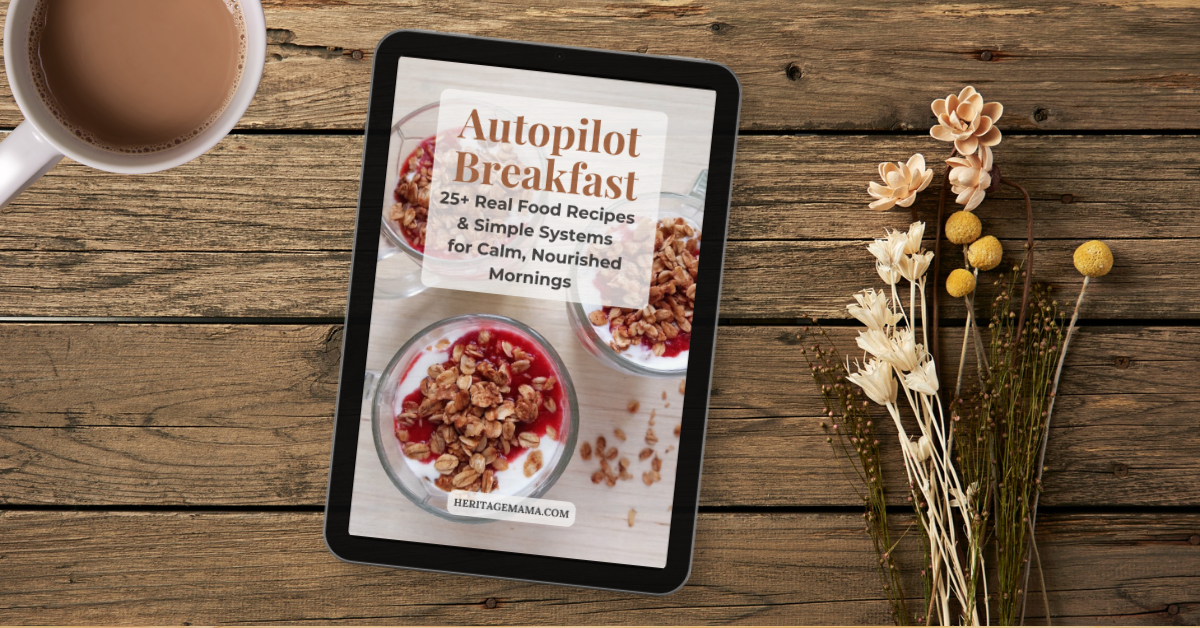 Easy Breakfast For Busy Families Ebook