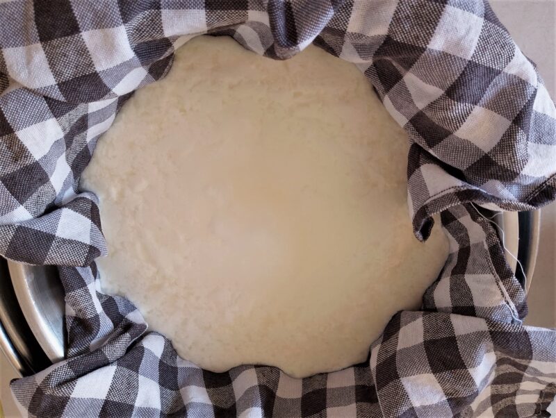 Clabbered milk draining in cheesecloth