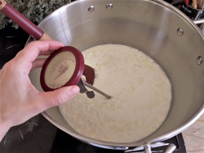 Checking the temperature of clabbered milk warming on the stove