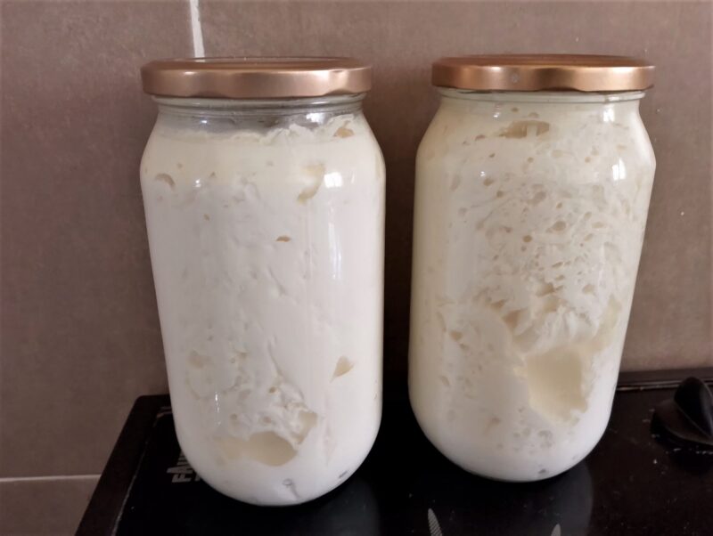 Clabbered (soured) raw milk in jars