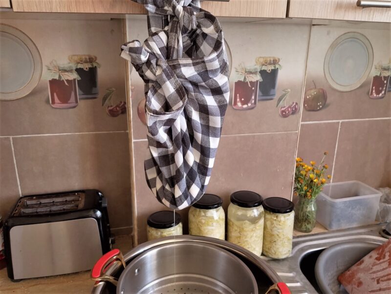 Hanging curds to drain in cheesecloth when making raw milk farmer's cheese