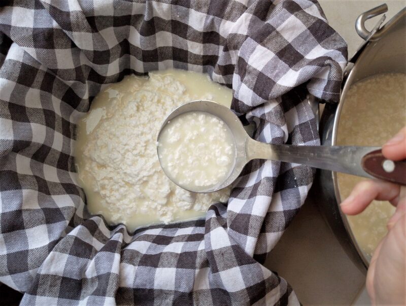 Transferring milk curds to colander lined with tea towel