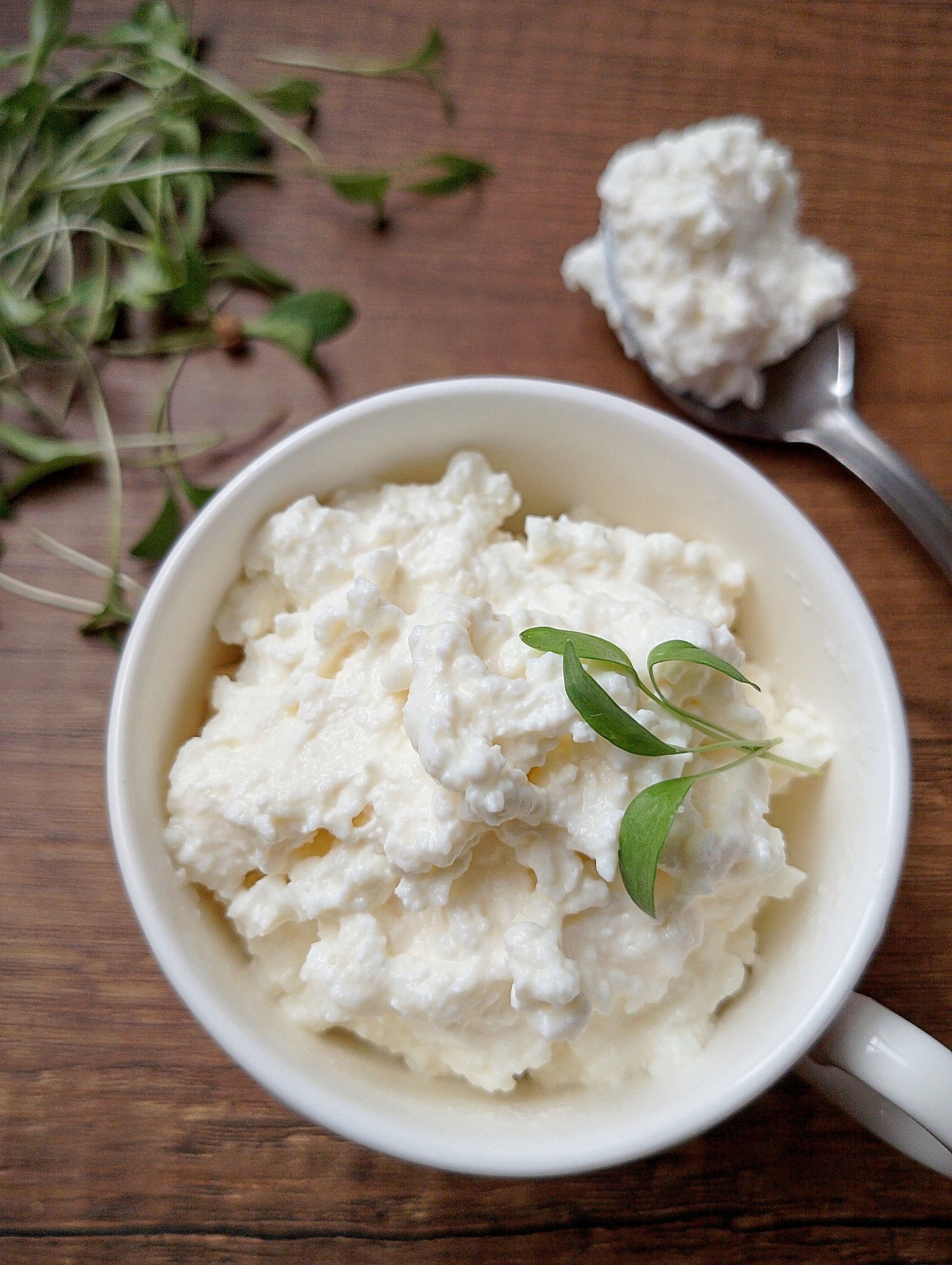 Homemade cheese in cup