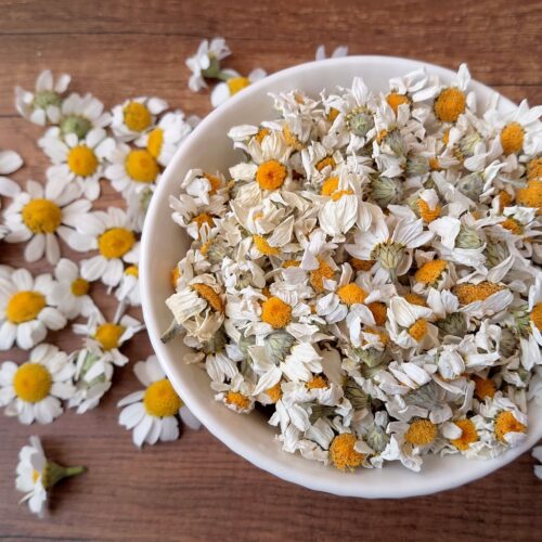 Dried chamomile flowers in a bowl on a wooden table with fresh chamomile scattered around
