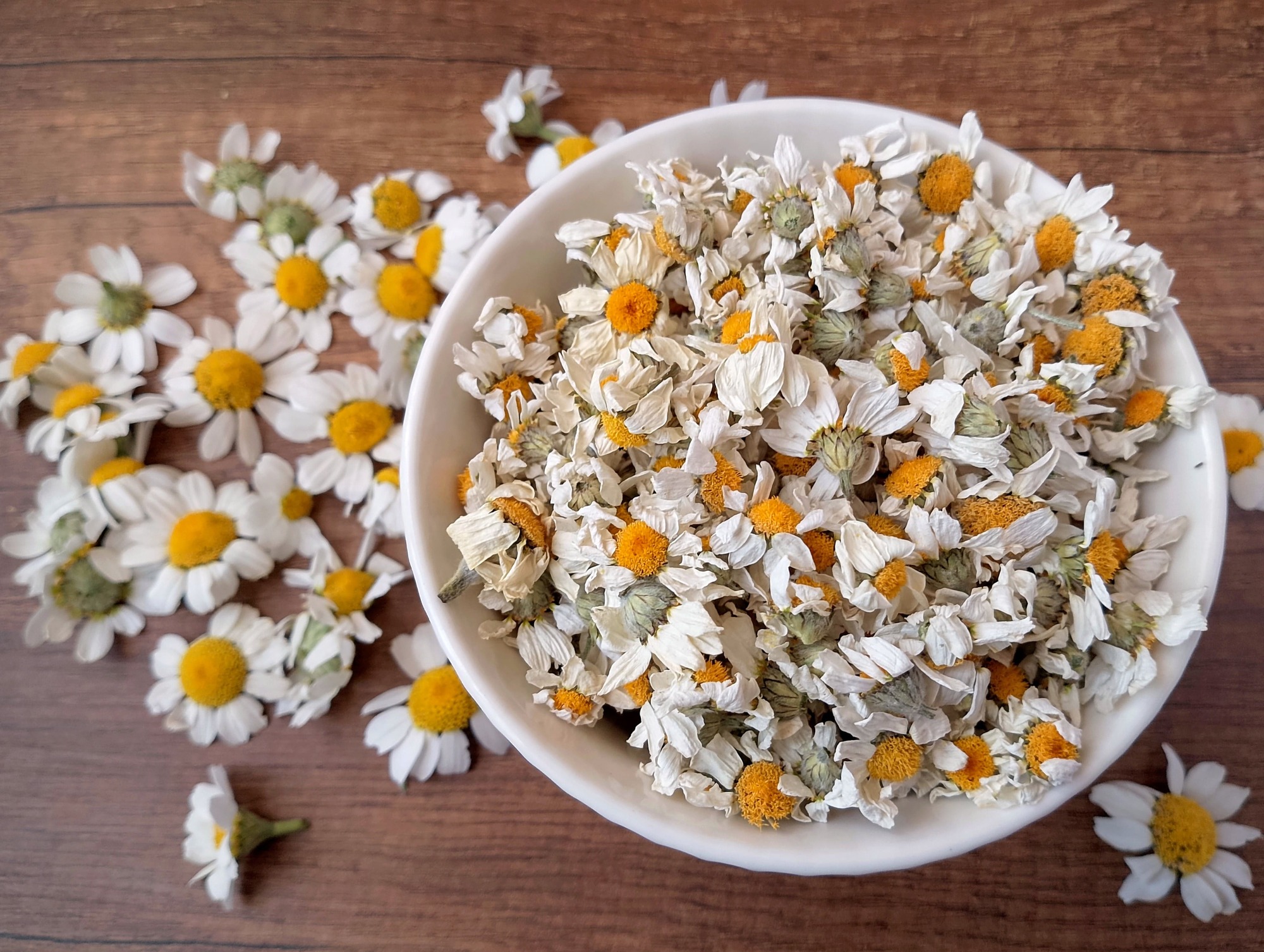 Dried chamomile flowers in a bowl on a wooden table with fresh chamomile scattered around