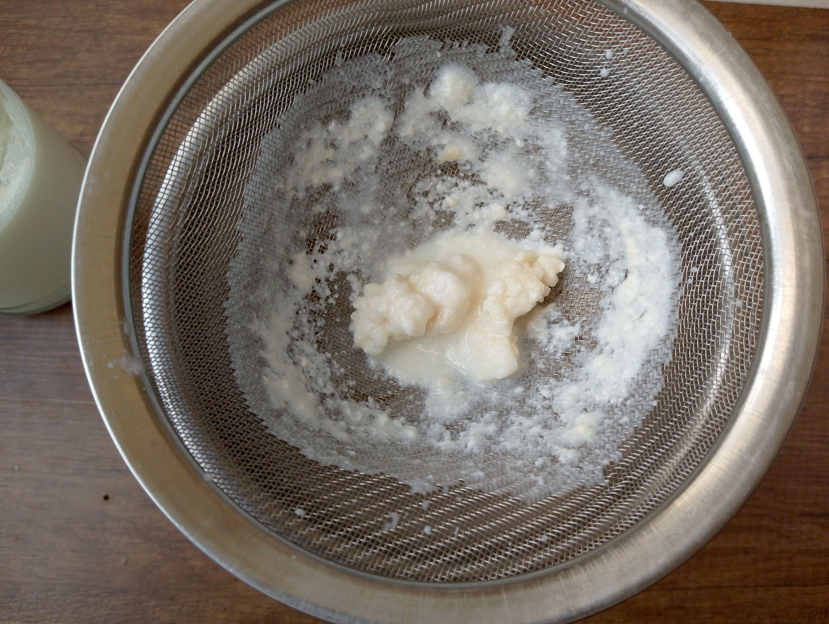 Straining milk kefir grains from milk on mesh sieve