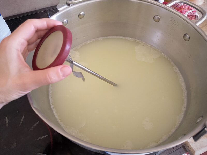 Heating whey in a pot to make whey ricotta