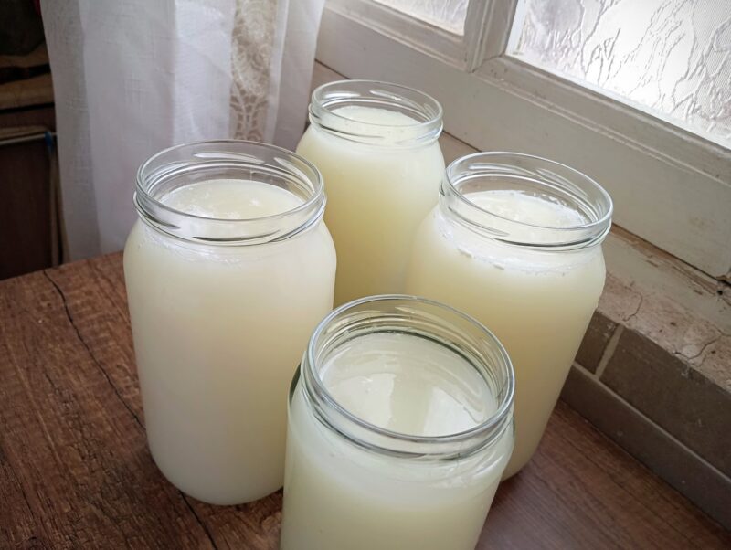 Jars of whey near a window, ready to be turned into whey ricotta