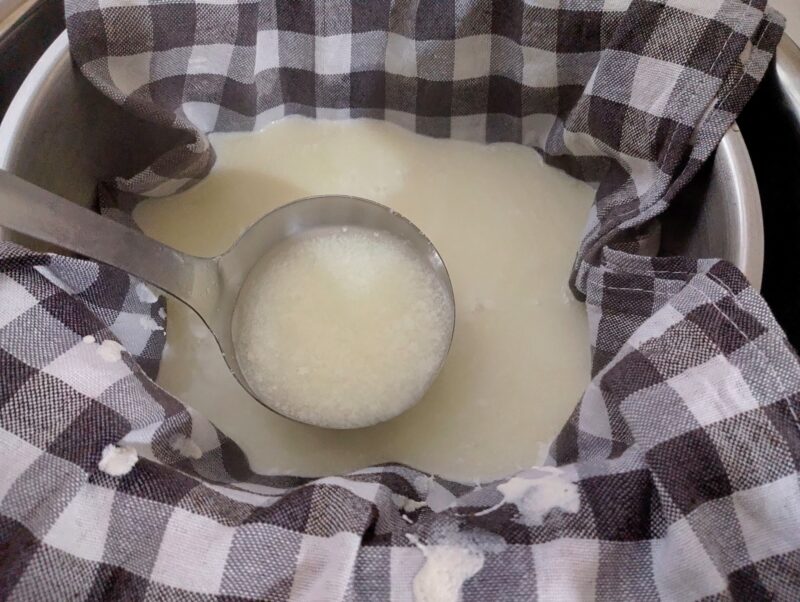 Draining curds in a colander lined with cheesecloth 