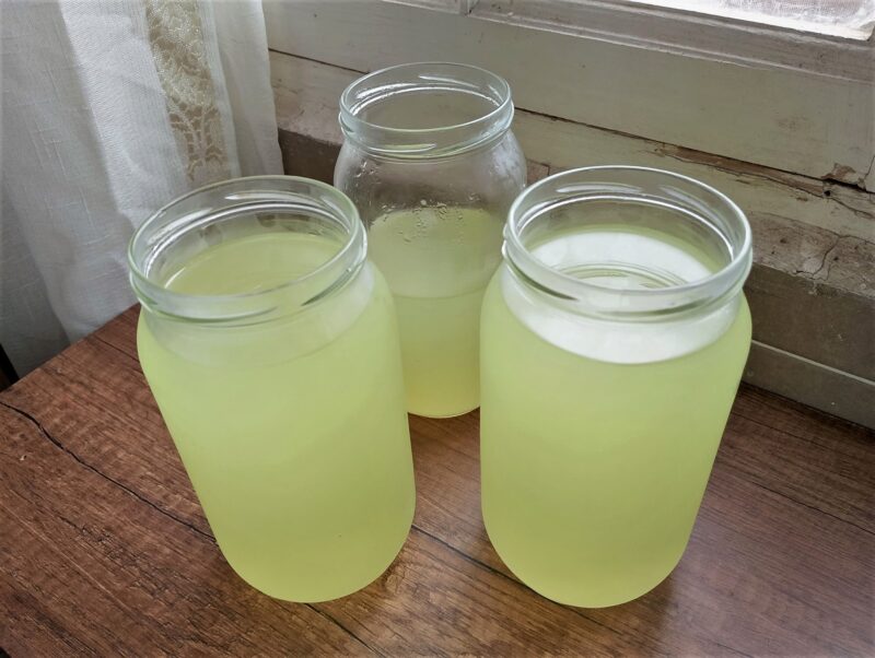Clear whey in jars on wooden table, left after making whey ricotta
