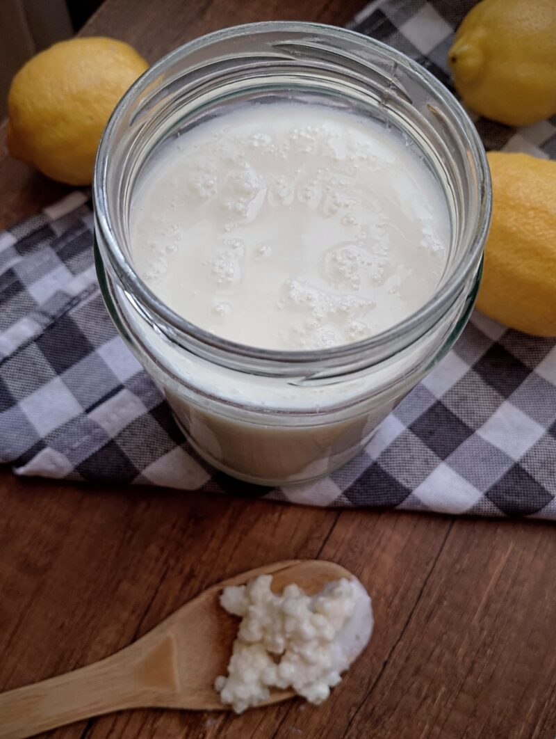 Jar of milk kefir on checkered tea towel, some kefir grains on spoon beside it