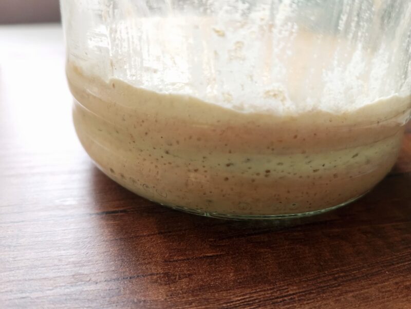 Sourdough starter on day 3 with some bubbles visible in the jar