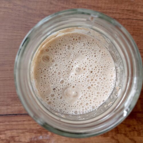 Active and bubbly sourdough starter in jar
