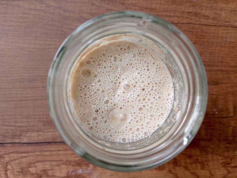 Week old sourdough starter with lots of bubbles visible on the surface
