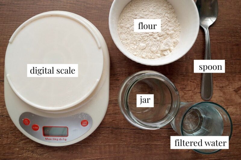 Ingredients and tools for making sourdough starter from scratch