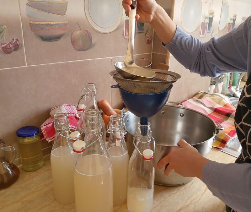 Woman pouring homemade ginger soda into swing top bottles