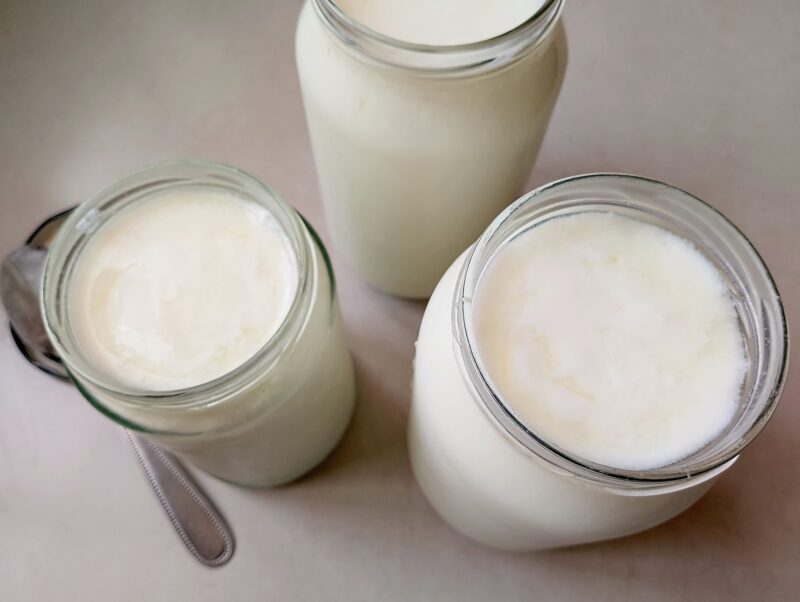 Homemade instant pot yogurt in jars, ready to be chilled in the refrigerator