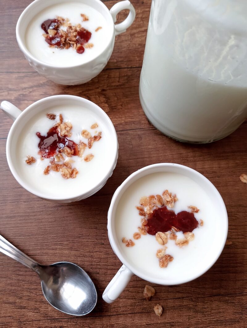 Homemade yogurt served in small cups with granola and strawberry jam