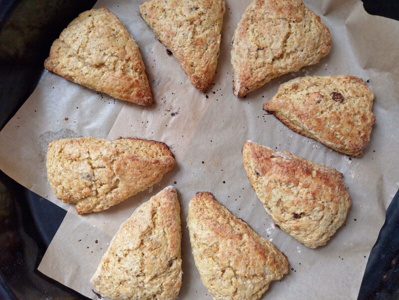 Freshly baked sourdough pumpkin scones on baking sheet